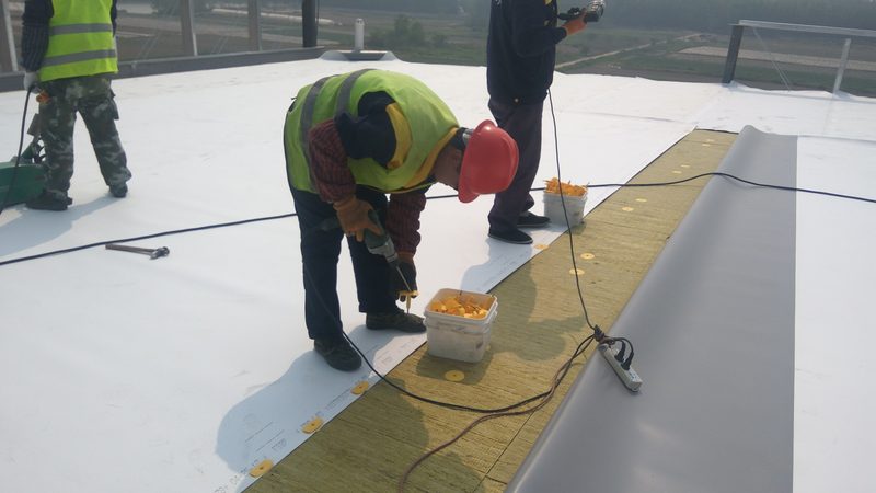 SBS防水卷材地下室型号揭秘：关键参数与选型逻辑